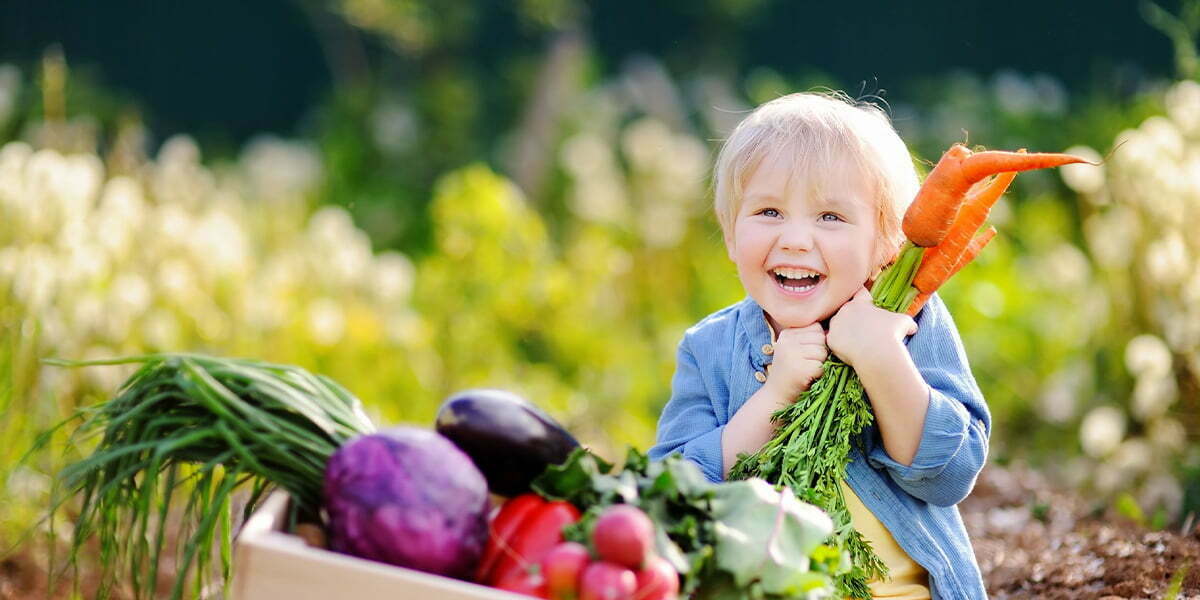 ARTIGO Alimentação Saudavel