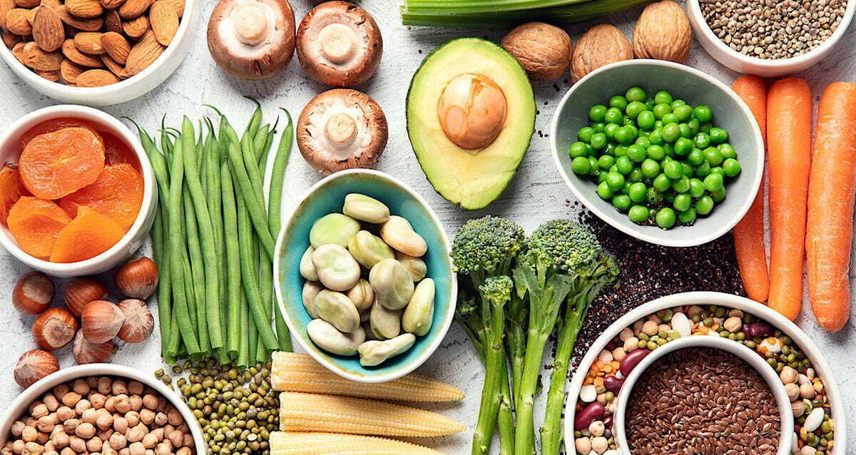 História do Vegetarianismo 1 Historia Vegetarianismo