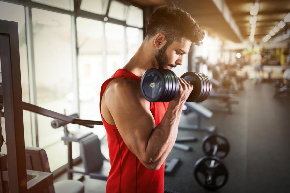 A importância do trabalho de musculação na saúde e…na busca do corpo perfeito! 1 importancia da musculacao na saude