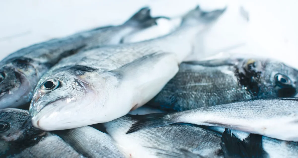 Peixe Fresco 1kg