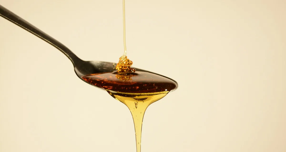 X de Xarope de Agave - Ginsios Solinca
