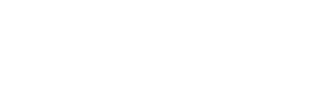 solinca logo 30 anos min