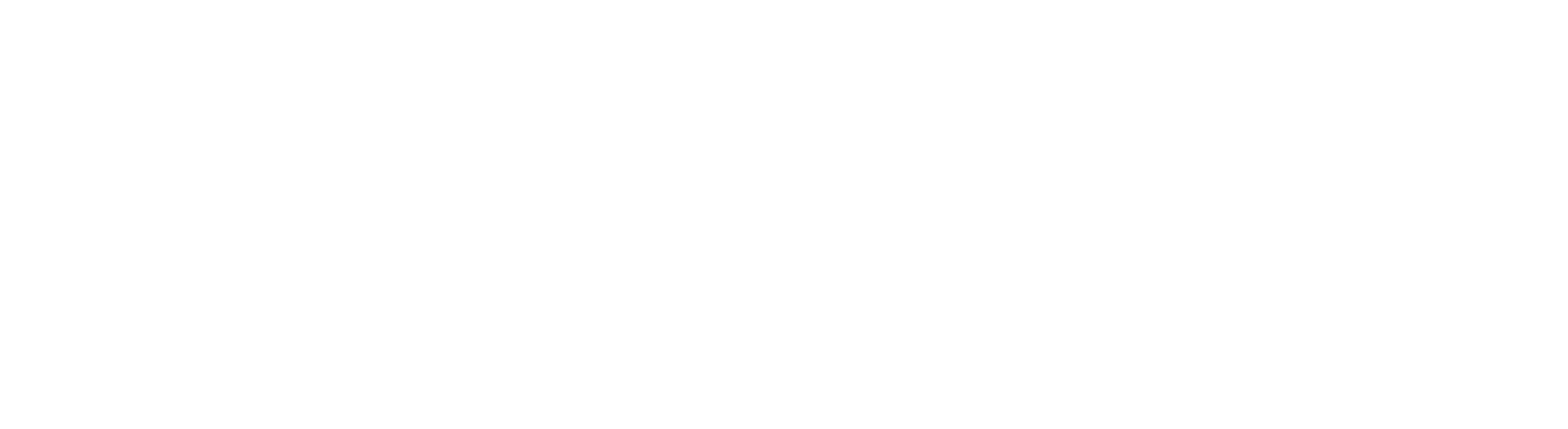 Solinca