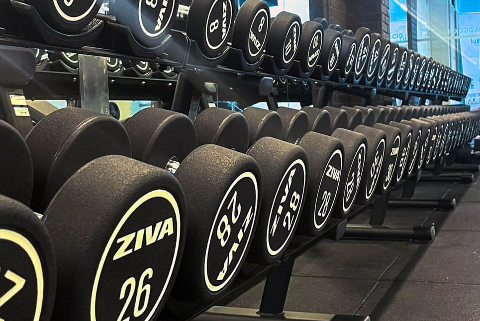 Mais área de treino de força livre