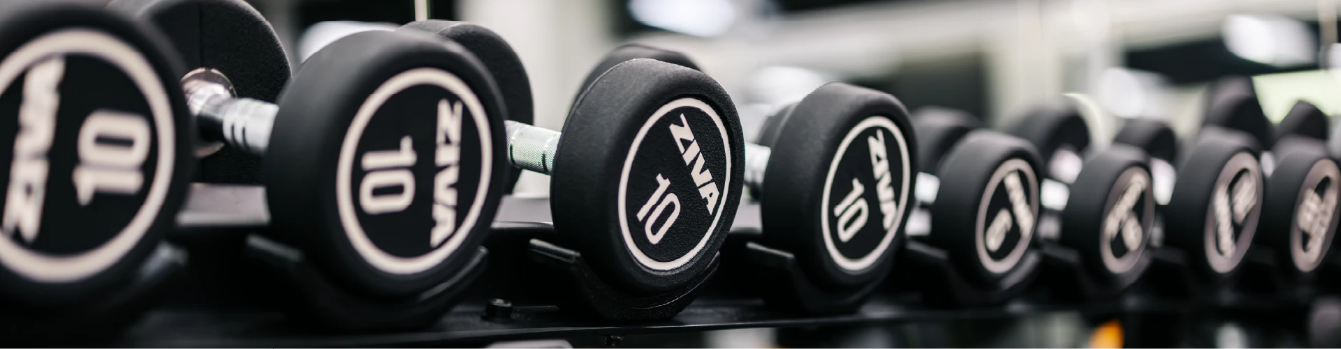Maia Jardim 31 Halteres para treino de musculação do Ginásio Solinca Maia Light