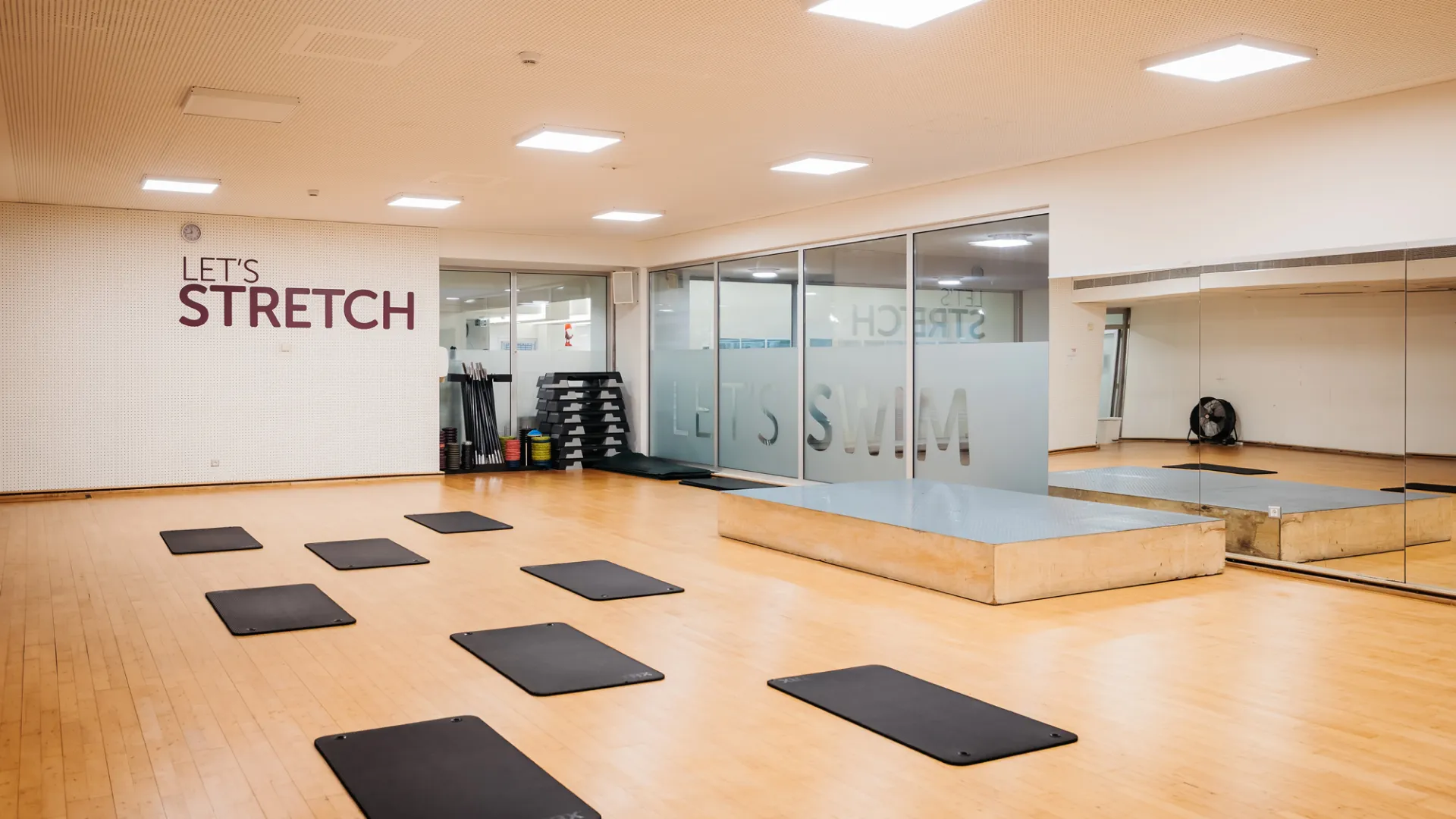 galeria_Dragao_stretch.webp